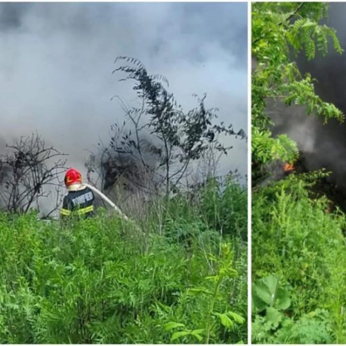 Incendiu de vegetație în localitatea Golești