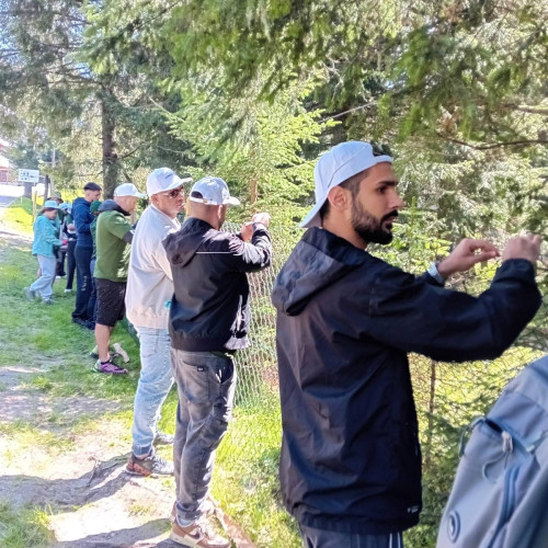 montarea gardului de protectie la rezervatia poiana crucii în bucegi