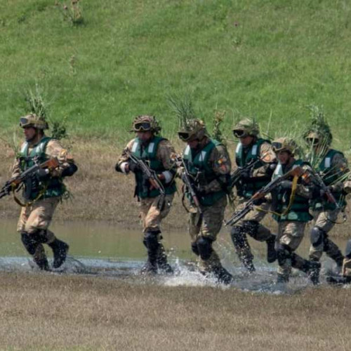 Ministerul Apărării pregătește reguli noi pentru rezerviștii voluntari