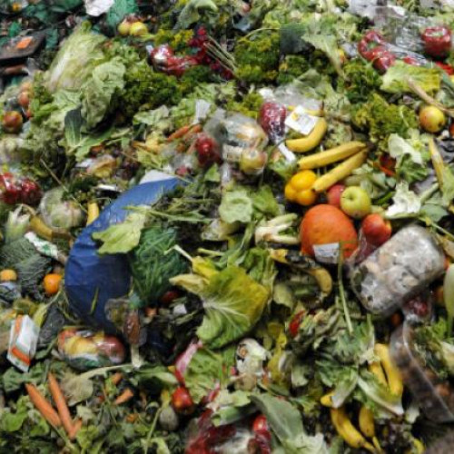 Probleme în parc: depozitare ilegală de resturi alimentare pentru hrănirea animalelor în Cluj-Napoca