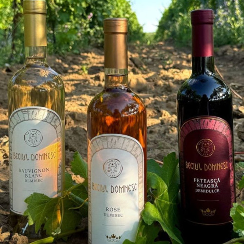 creșterea popularității vinurilor rose și schimbările în preferințele consumatorilor în Vrancea