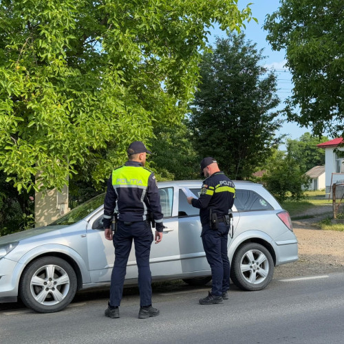 Acțiune a poliției din Botoșani pentru combaterea infracțiunilor silvice și a transporturilor ilegale