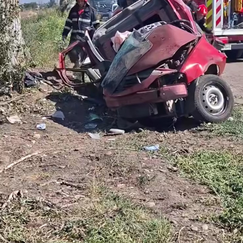 accident grav în ilfov: doi bărbați răniți după ce mașina s-a izbit de un copac