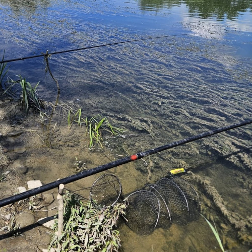 mai multi botosaneni pescuiesc ilegal in zone protejate, fiind opriti de autoritati