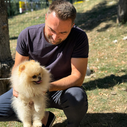 primele dog park-uri în Piatra-Neamț, inaugurate de Ziua internațională a câinilor