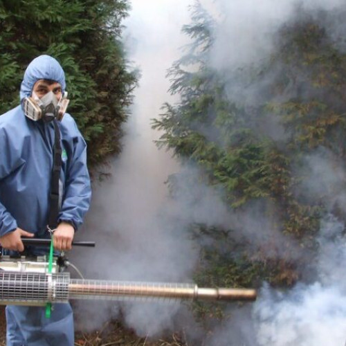 RER Sud reia activitățile de dezinsectie în parcuri și zone de joacă din Buzău