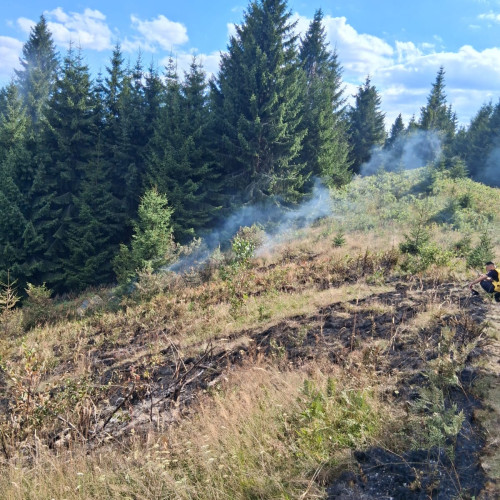 Incendiu de vegetație uscată în Poiana Teiului