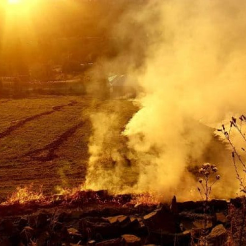 Legea mirosurilor 2025, în sfârșit aplicabilă după cinci ani de la adoptare