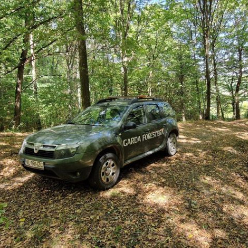 Ministerul Mediului lansează selecție pentru cinci funcții de inspector șef la Garda Forestieră în mai multe orașe