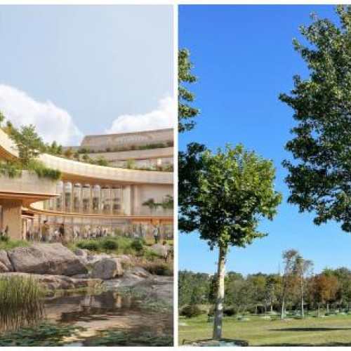 Pepiniera spectaculoasă din spatele proiectului RIVUS va transforma zona într-o pădure urbană