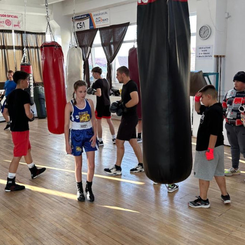 Prima ediție a Cupei Sibiane de box se desfășoară pe stadionul &quot;Luceafarul&quot; din Sibiu