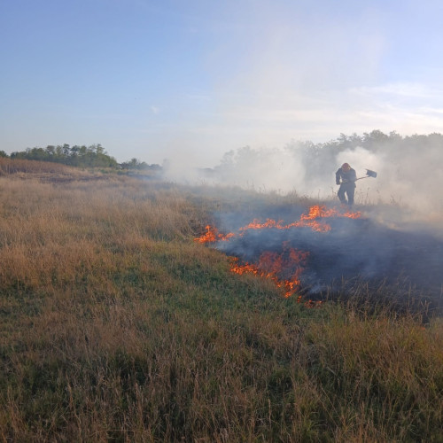 incendiu de vegetație la Fundeni, județul Galați