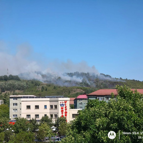 incendiu de vegetație pe dealul prigoroiu, în apropiere de motru