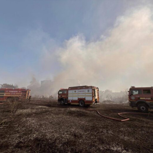 Incendiu de vegetație în București: echipele ISU intra în acțiune