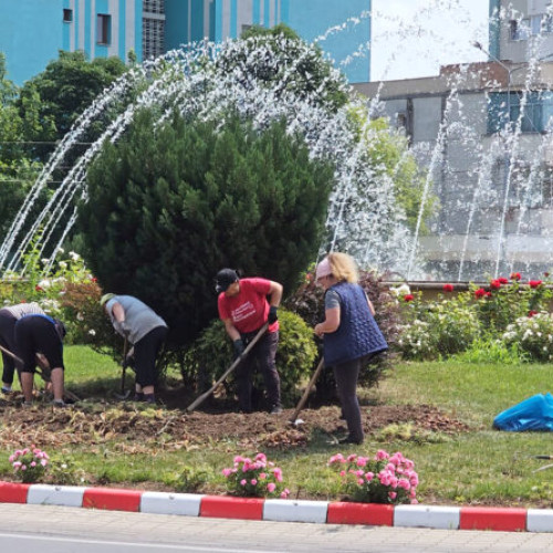 activitățile de întreținere a zonelor verzi din deva pentru sezonul toamnei