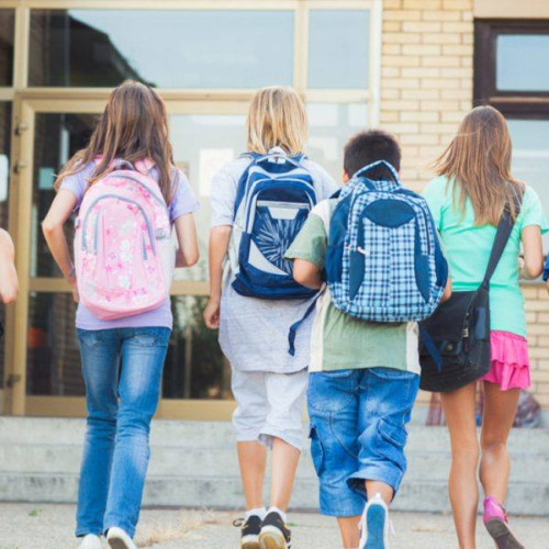 Guvernul extinde valabilitatea tichetelor sociale pentru elevi în medii defavorizate