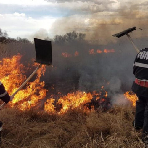 Peste 400 de hectare de teren agricol afectate de incendii în județul Buzău