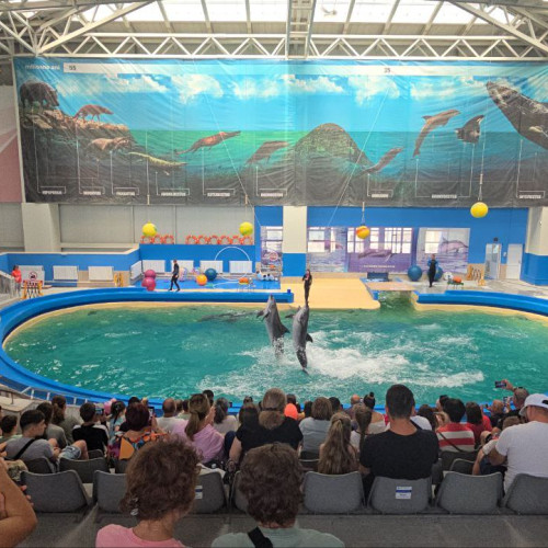 modificări ale programului la delfinariu în extrasezon