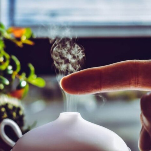 managementul umidității în casă: dezumidificatoare vs metode tradiționale