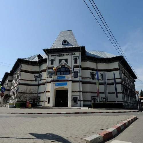 universitatea "constantin brancusi" din targu jiu lansează un nou program de studii în domeniul artelor vizuale