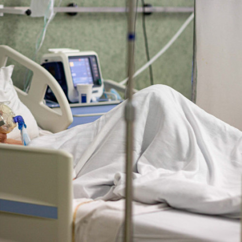 Doi pacienți din Timișoara, confirmați cu virusul West Nile