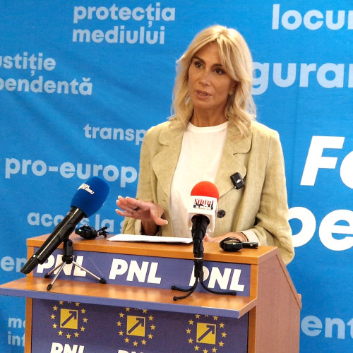 Raluca Turcan anunță trei proiecte de lege pentru sprijinirea persoanelor cu dizabilități și angajaților