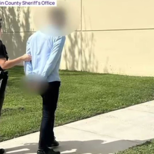 Roman de 33 de ani, reținut după mai multe furturi în SUA