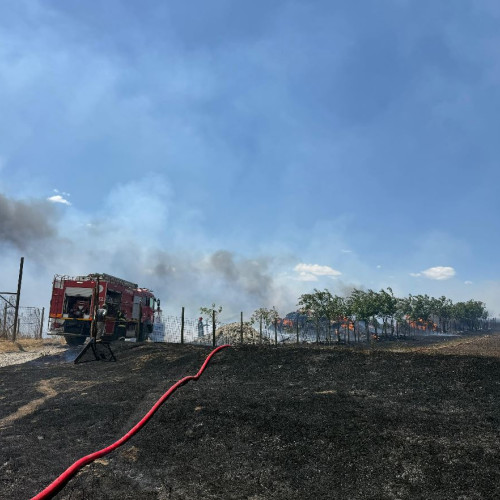 Incendiu de vegetație în județul Tulcea, echipele de intervenție acționează pentru stingere