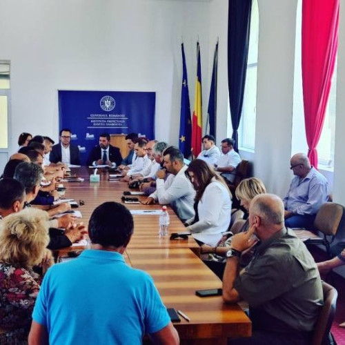 Creșterea incidentelor cu urși și animale sălbatice în zonele locuite din România