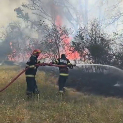 Incendiu de amploare în comuna Umbrărești, județul Galați
