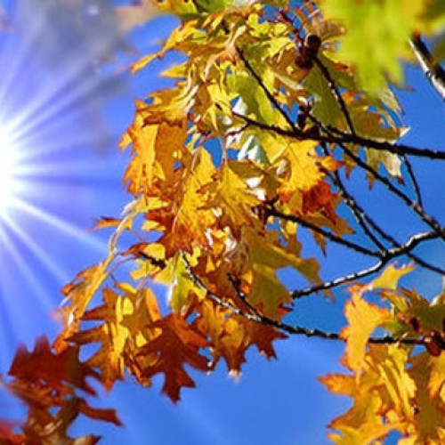 Prognoza meteo pentru septembrie 2025: temperaturi mai ridicate și precipitații normale în România