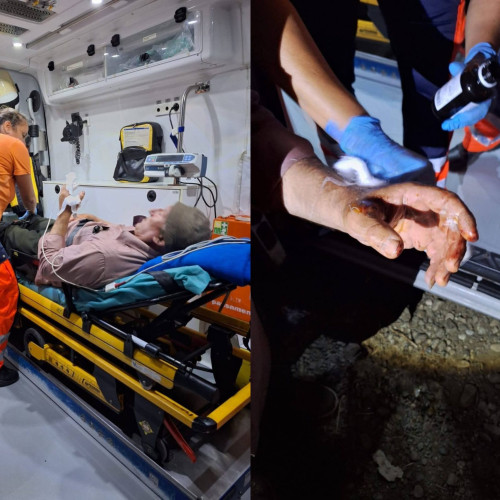 Un bărbat din județul Vâlcea, atacat de urs în pădure