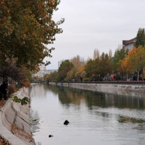 Descoperire macabră pe râul Someș din Dej