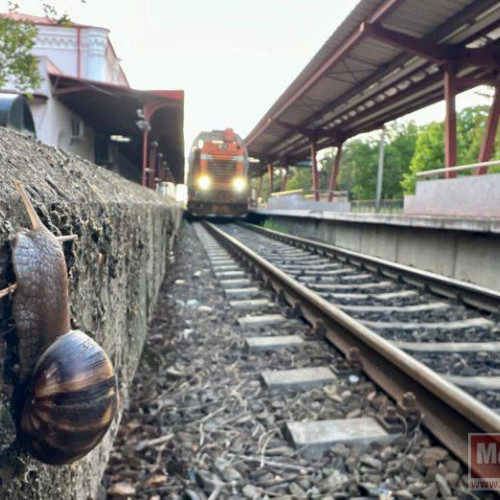 Circumstantele din spatele anulării trenurilor au fost resolve temporar, după ce CFR a anunțat reluarea circulației