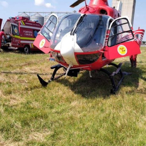 Bărbat rănit grav după ce a fost lovit de un copac în pădurile din Vâlcea