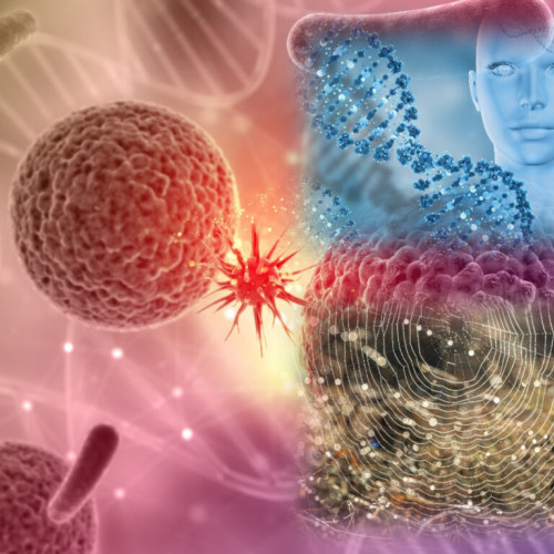 Descoperire la Purdue: un mecanism natural poate frâna cancerul