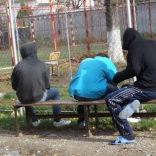 Locuitorii din Grigorescu cer intervenție după instalarea unui culcuș în foișorul din Parcul Someș