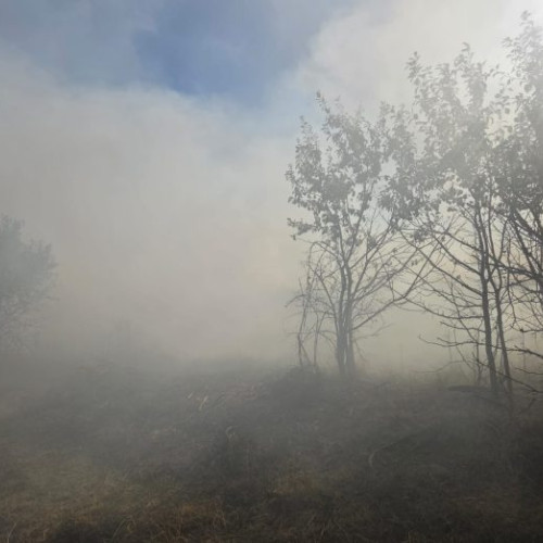 Incendiu de vegetație în zona Dealul Morii, în timpul evenimentului Vrancea Montana Run