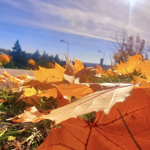 Toamna 2025: temperaturi foarte ridicate, anunță AccuWeather