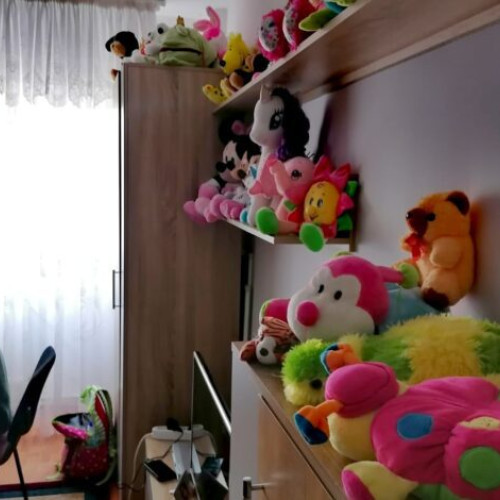 Plan pentru asistența maternală specializată pentru copii cu dizabilități