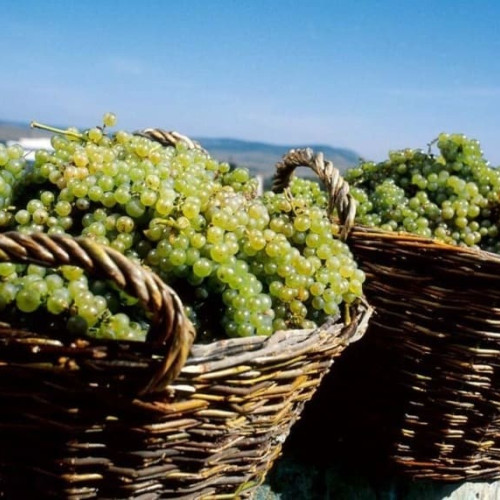 Septembrie, începutul toamnei