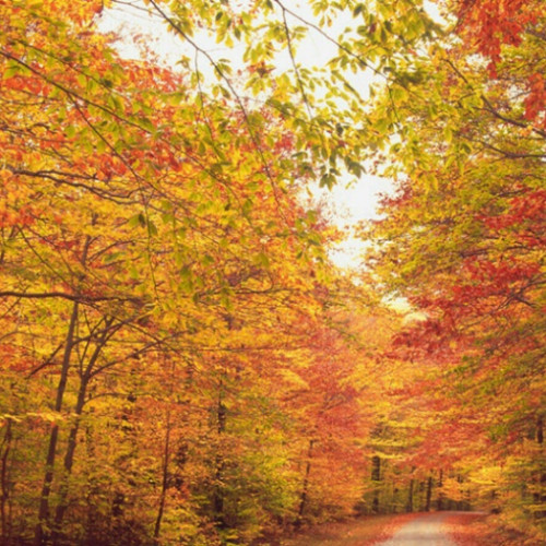 Septembrie începe cu temperaturi mai ridicate în sud, potrivit prognozei ANM