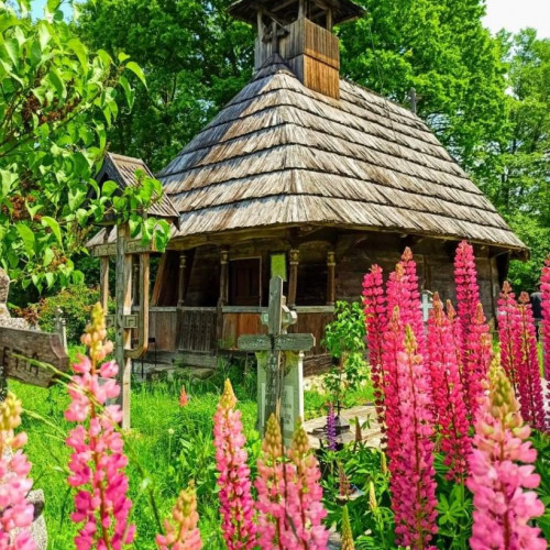 Gorj lansează canale de social media pentru promovarea valorilor județului