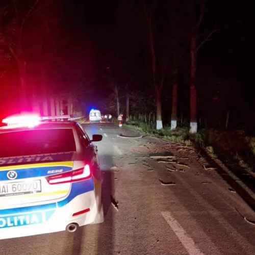 Șofer din Peștișani, depistat cu alcoolemie extremă după un accident în Boroșteni