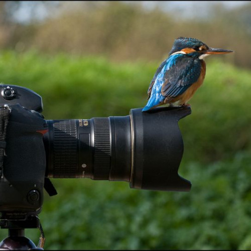 Ecotic lansează a doua ediție a concursului național „Jurnalism pentru un mediu curat”