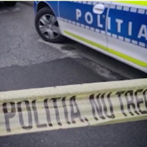 Tragedie la o grădiniță privată din Timișoara: un copil de aproape doi ani a murit înecat într-un iaz ornamental