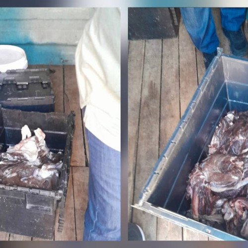 Controale în piețe din Dâmbovița pentru depistarea produselor de origine animală