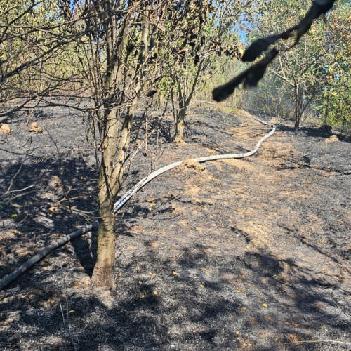 Forțe și mijloace de intervenție din cadrul ISU Neamț și SVSU au intervenit la incendii de vegetație