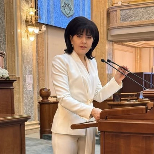 Doina Federovici rămâne în conducerea Senatului; Biroul Permanent stabilește noii secretari