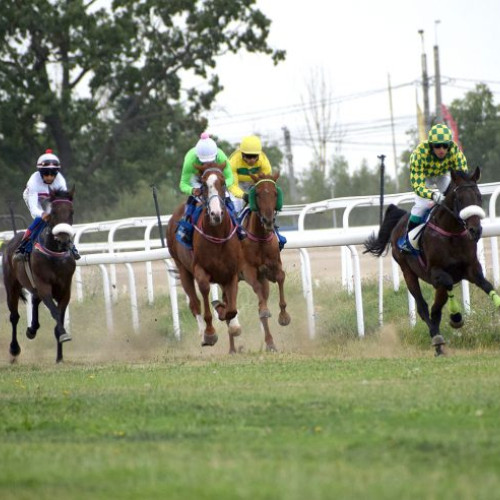 Spectatori prezenți la reuniunea hipică de la Ploiești după vacanța de vară